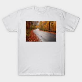Autumn Road T-Shirt